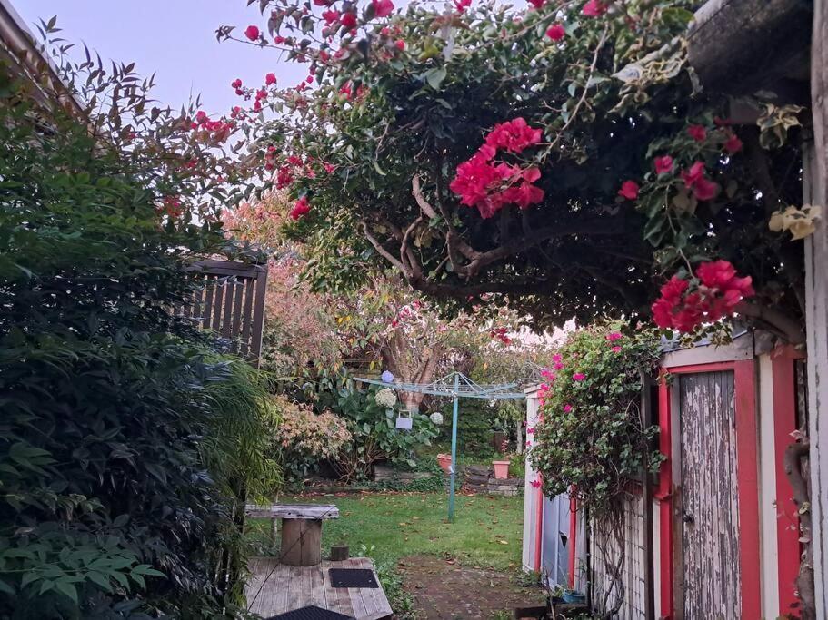 Secret Cottage Waitara Exterior photo